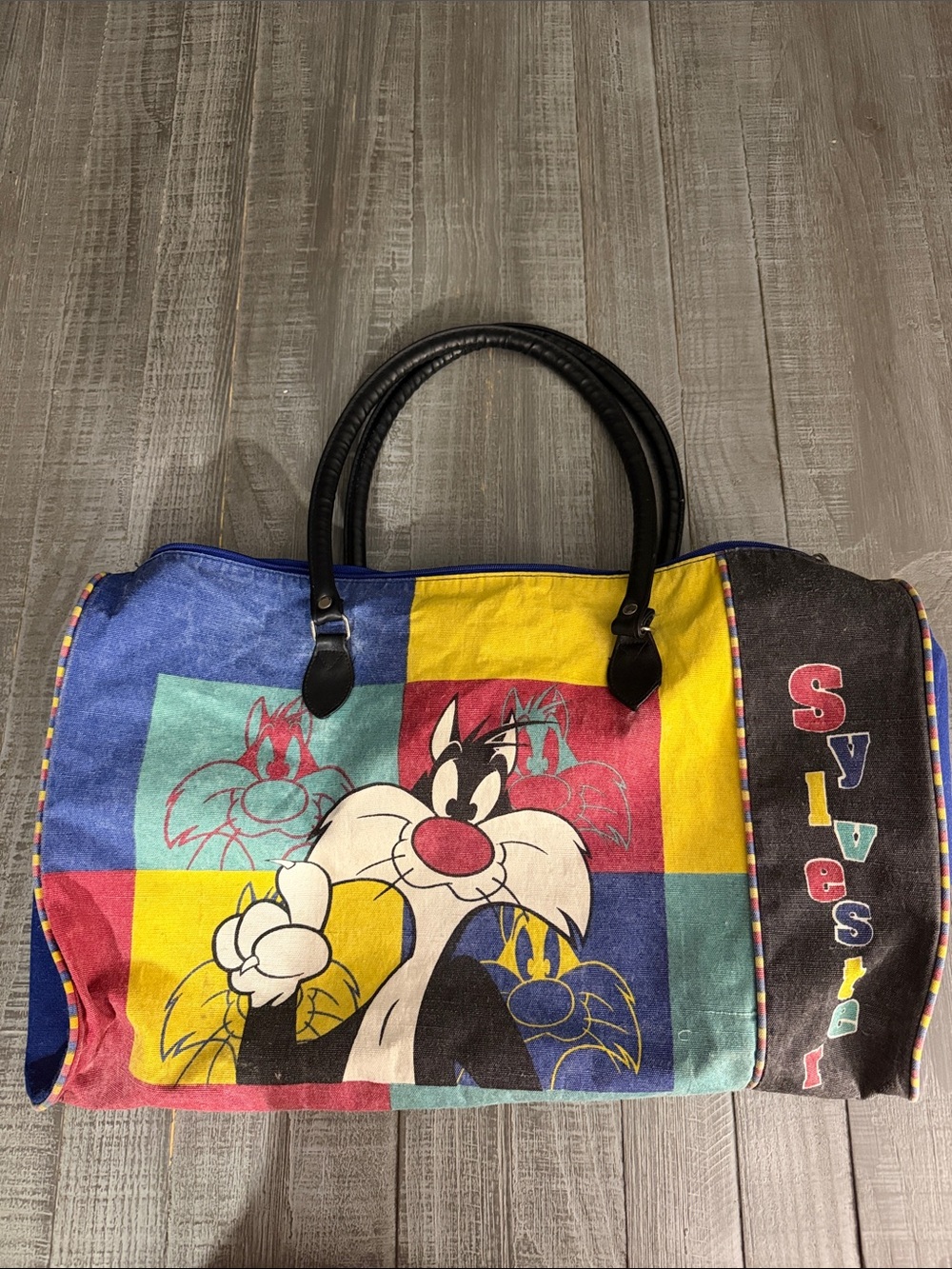 Sylvester Multicolor Canvas Tote with Black Handles